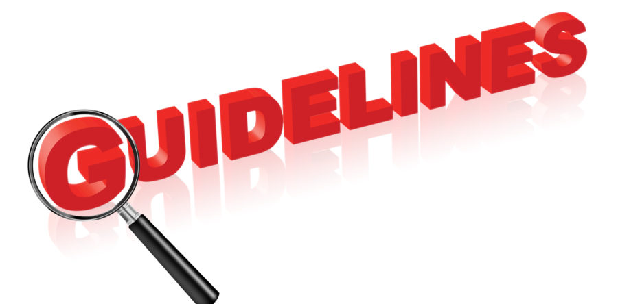 Leaked – Google Quality Guidelines 4.1 March 2013